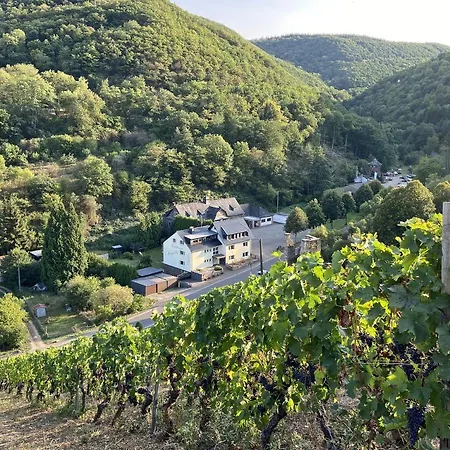 Roosartige Ferien - Am Weiherturm