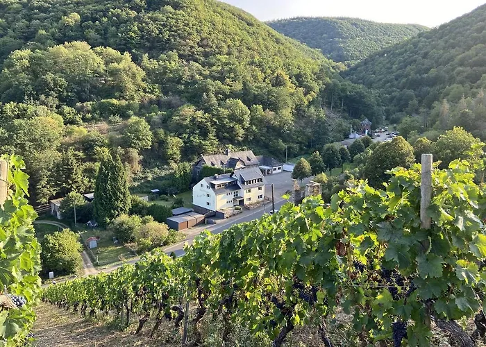 Roosartige Ferien - Am Weiherturm