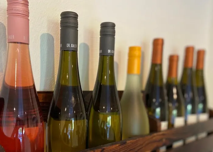 Apartamento Roosartige Ferien - Am Weiherturm Bacharach