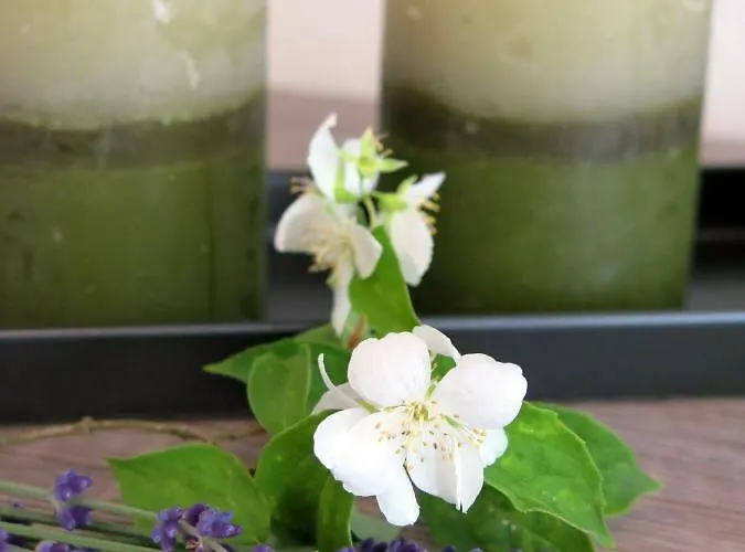 Roosartige Ferien - Am Weiherturm Apartamento *